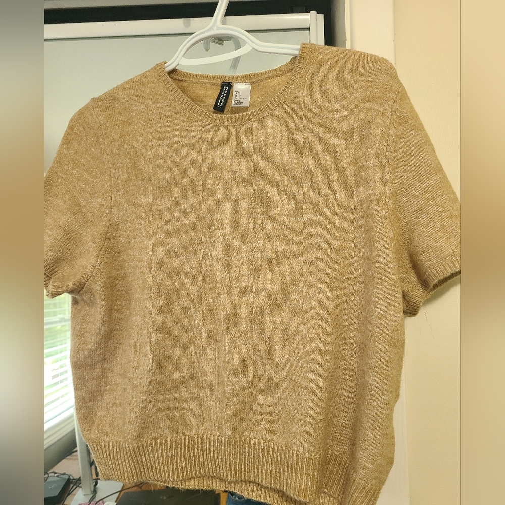H&M Beige Short Sleeve Knit Top